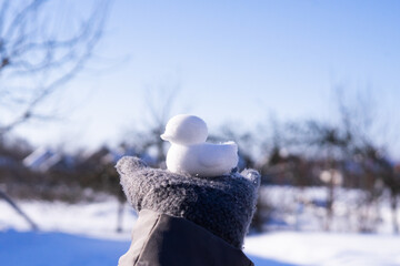 a figure in the shape of a duck made of snow, conspiracy games, cold season