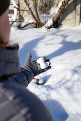 a figure in the shape of a dragon made of snow, conspiracy games, cold season