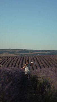 Running, girl, lavender field, happy child playing with toy airplane at sunset, freedom concept. Vertical video