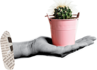 hand holding a cactus pot art collage