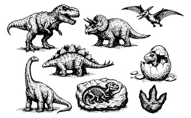 Hand drawn line art dinosaur set featuring various prehistoric creatures and elements for children's education and historical themes