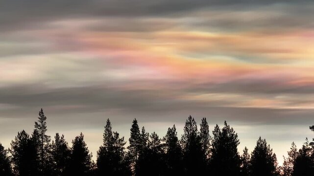Aerial view of the dark silhouettes of trees contrasting against the colorful polar stratospheric clouds above, creating a beautiful atmospheric scene, Lapland, Finland.