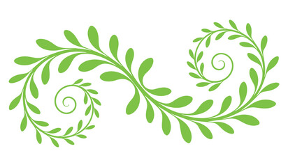 Elegant green leaf spiral pattern ornament with symmetrical swirl design for decorative border and artistic nature background element