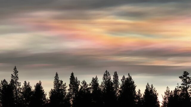 Aerial view of dark silhouetted trees against a pastel sky painted with nacreous clouds, showcasing a serene winter scene, Lapland, Finland.