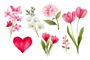 a small cute Valentine&rsquo;s Day collection of flowers on white background with margins, watercolor