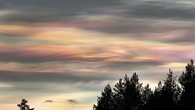 Aerial view of iridescent nacreous clouds paint the winter sky with pastel hues, contrasting against the dark silhouettes of trees, Lapland, Finland.