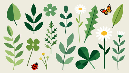 Illustration of plants and insects