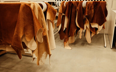 Brown and beige leather hides hanging on white hangers inside a workshop or store, showing natural textures and organic material surfaces.