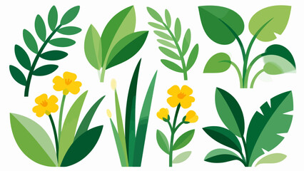 Illustrated green leaves and yellow flowers © Sedna