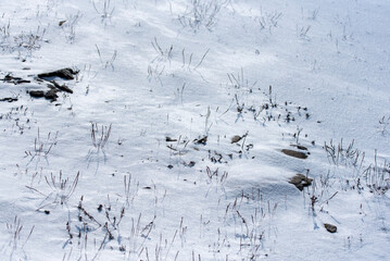 하얀 눈 덮힌 동산