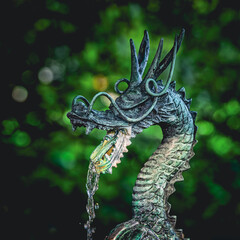 Japanese dragon-shaped fountain used for the temizuya purification ritual at the Shinobazunoike...