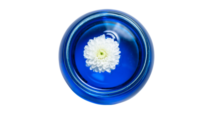 A blue transparent sphere encases a white floral shape with a yellow center, all presented against a plain white surface