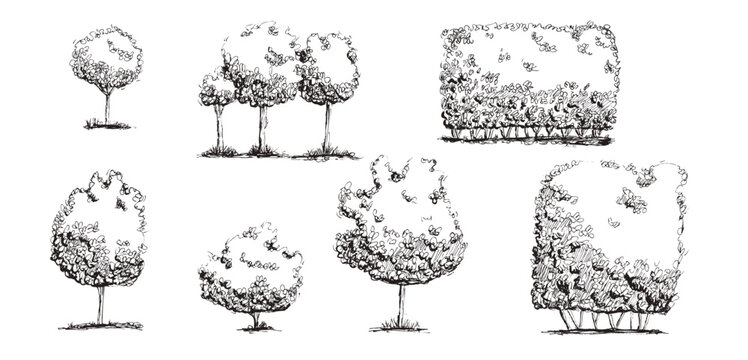 Sketch scribble set of forest trees and garden hedge, bushes. Hand-drawn botanical line art shrubs silhouettes. Black and white nature illustrations naive retro. Vector tree doodle black ink isolated.