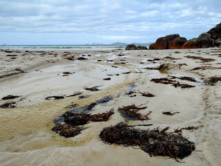 beach and rocks