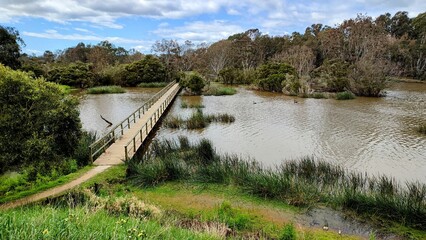 bridge over lake