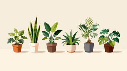 Potted plants in a row © KY