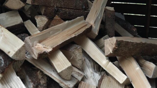 Throwing logs on a pile, stack of firewood. Swedish countryside.