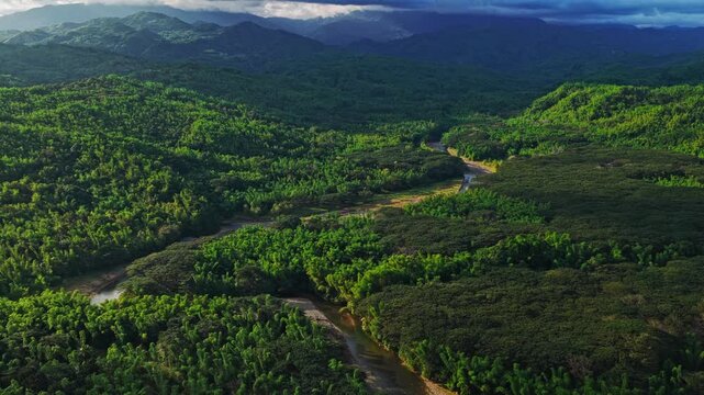 Aerial view of a river winding through a dense, lush green forest, creating a vibrant contrast between the dark trees and the light river, Maasin, Western Visayas, Philippines.