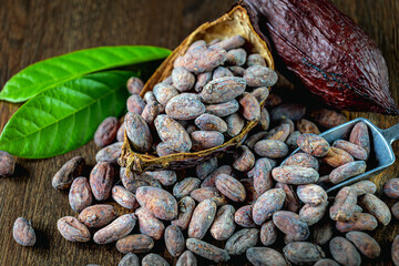 Cocoa beans close-up, organic cacao bean or dried cocoa beans on brown background