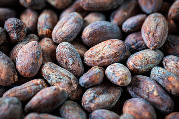 Cocoa beans, Close-up of organic cacao bean or dried cocoa beans on brown background