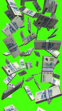 Vertical Argentine Peso bills falling on chromakey, ARS finance animation for vertical video