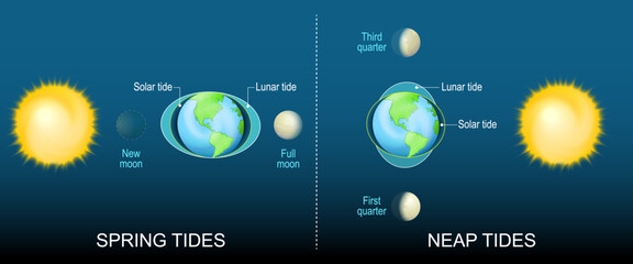 Different between Neap tide and Spring tide. Solar and Lunar tides. Influence of the Sun and the phases of the Moon