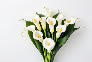 Calla lily bouquet on white background, wedding flowers, botanical art, classic arrangement, fresh cut
