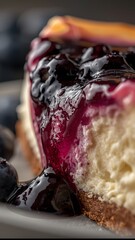 Delicious blueberry cheesecake dessert recipe food photography close up view