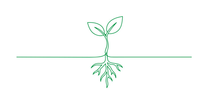 Continuous one line of a growing tree, drawn vector illustration.