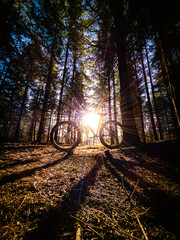 Mountain bike in the forest with bright sun bursting through
