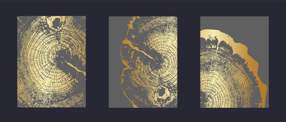 Set of templates with wooden textures background. Luxury wood grain collection with golden tree rings. Elegant textures featuring natural annual growth patterns with circles. Vector vertical banners