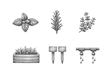 Stippled herb icons with drip irrigation and planter elements for gardening design