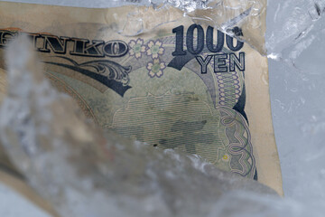 Japanese Thousand Yen Banknote Frozen in Ice