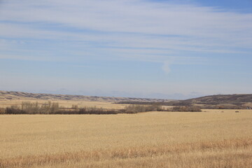 Fototapeta premium Abandoned Things Seen in My Area