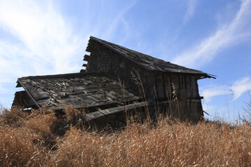 Abandoned Things Seen in My Area