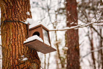 Mit Schnee Bedecktes Vogehaus.