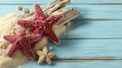 Red Starfish on Driftwood and Sand.