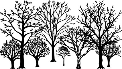 Fototapeta premium Very beautiful winter trees silhouettes collection featuring hand drawn sketch-style forms, perfect for seasonal nature templates, cold weather illustrations, forest scenes, artistic clipart, and expr
