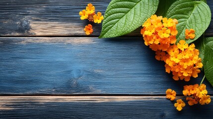 Orange Flowers on Blue Wooden Background.