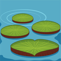 giant water lilies pads vector.