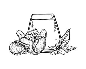 Glass of mandarin juice and tangerine fruit, flower and leaves monochrome vector isolated composition. Sweet smoothie with fresh citrus etching drawing. Non alcohol drink in tumbler and fruits
