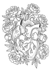 Anatomical human heart surrounded by blooming peony flowers and leaves. Hand-drawn tattoo sketch in black and white line art style. Illustration.