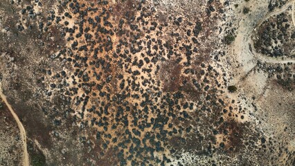 Aerial view of a rugged landscape where dark shrubs and light-colored soil create a stark contrast, painting an abstract mosaic from above, Fruita, Colorado, United States.