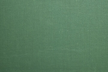 Fototapeta premium Green woven fabric texture with visible grid pattern 