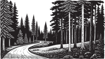 Winding road through a dense forest with tall trees
