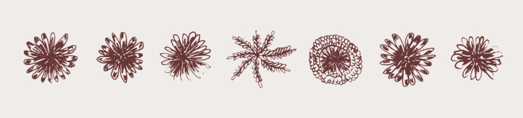 Cute colorful doodle set of hand drawn whimsical vector floral engraved blossoms elements. Outline sketch round flowers blooms for clipart design, pattern, greeting card decor, icons, stickers