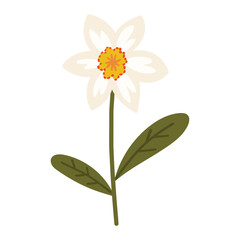 Flower element, Plant vector illustration, Digital flower design, Abstract floral item vector