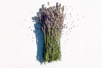 Laconic bouquet of dry lavender on a clear white background with scattered petals
