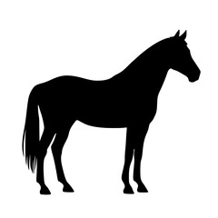 Obraz premium Black horse silhouette standing isolated on white background vector illustration