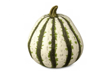 Decorative gourd for autumn, harvest, and halloween, featuring unique green stripes on white, isolated